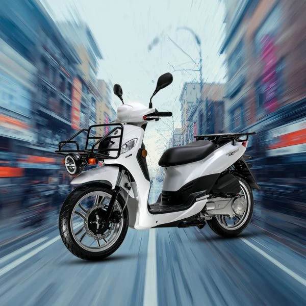 Progetto Senza Titolo (2)